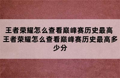 王者荣耀怎么查看巅峰赛历史最高 王者荣耀怎么查看巅峰赛历史最高多少分